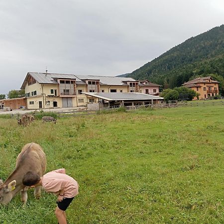 Maso Torbiera- Rural And Mountain Lodging Fiavè Exteriér fotografie