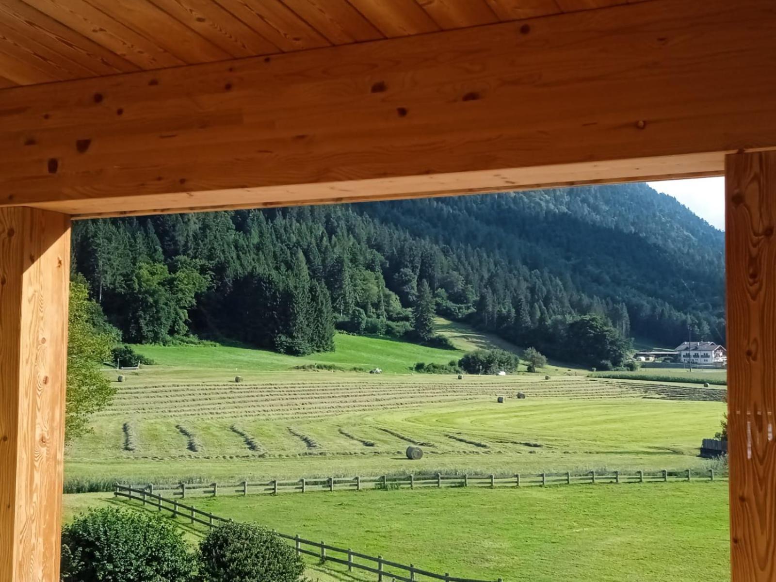 Maso Torbiera- Rural And Mountain Lodging Fiavè Exteriér fotografie