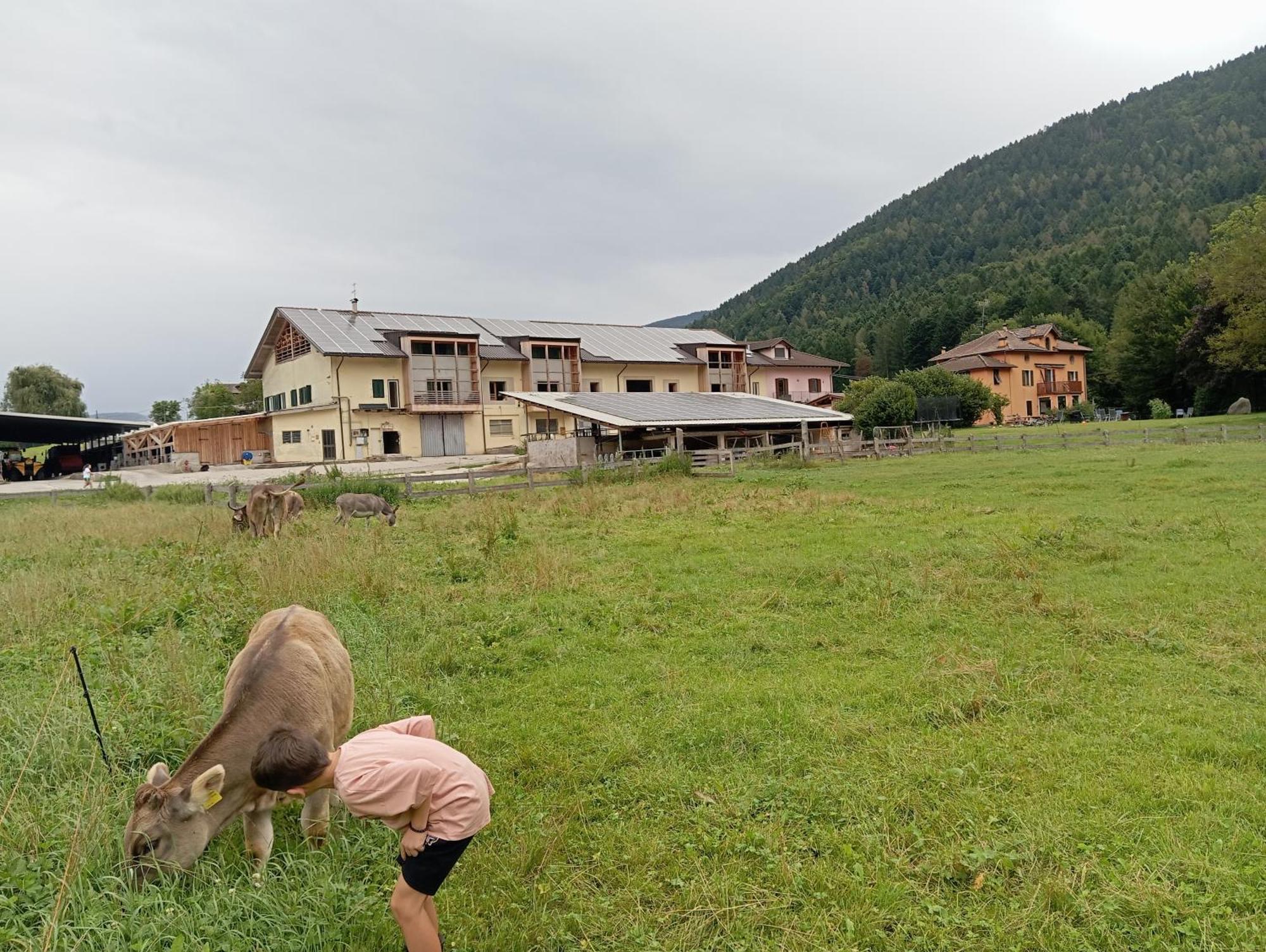 Maso Torbiera- Rural And Mountain Lodging Fiavè Exteriér fotografie