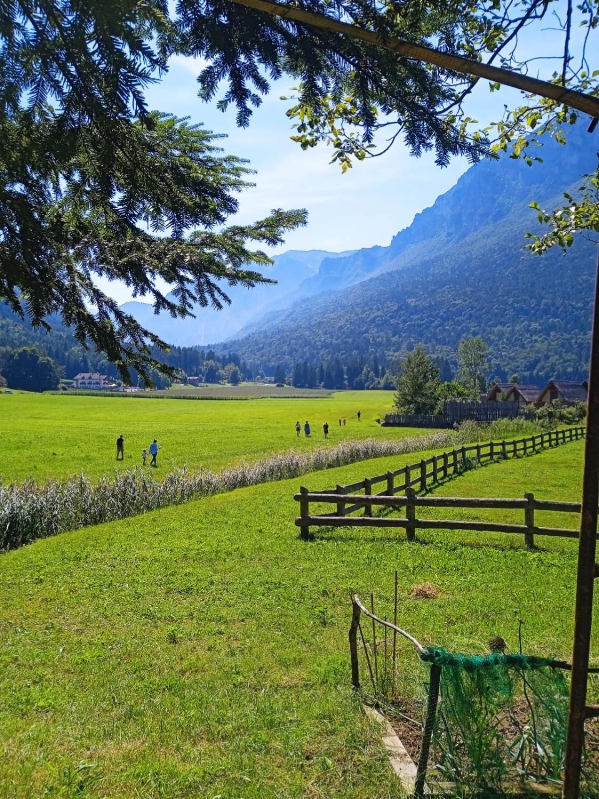Maso Torbiera- Rural And Mountain Lodging Fiavè Exteriér fotografie