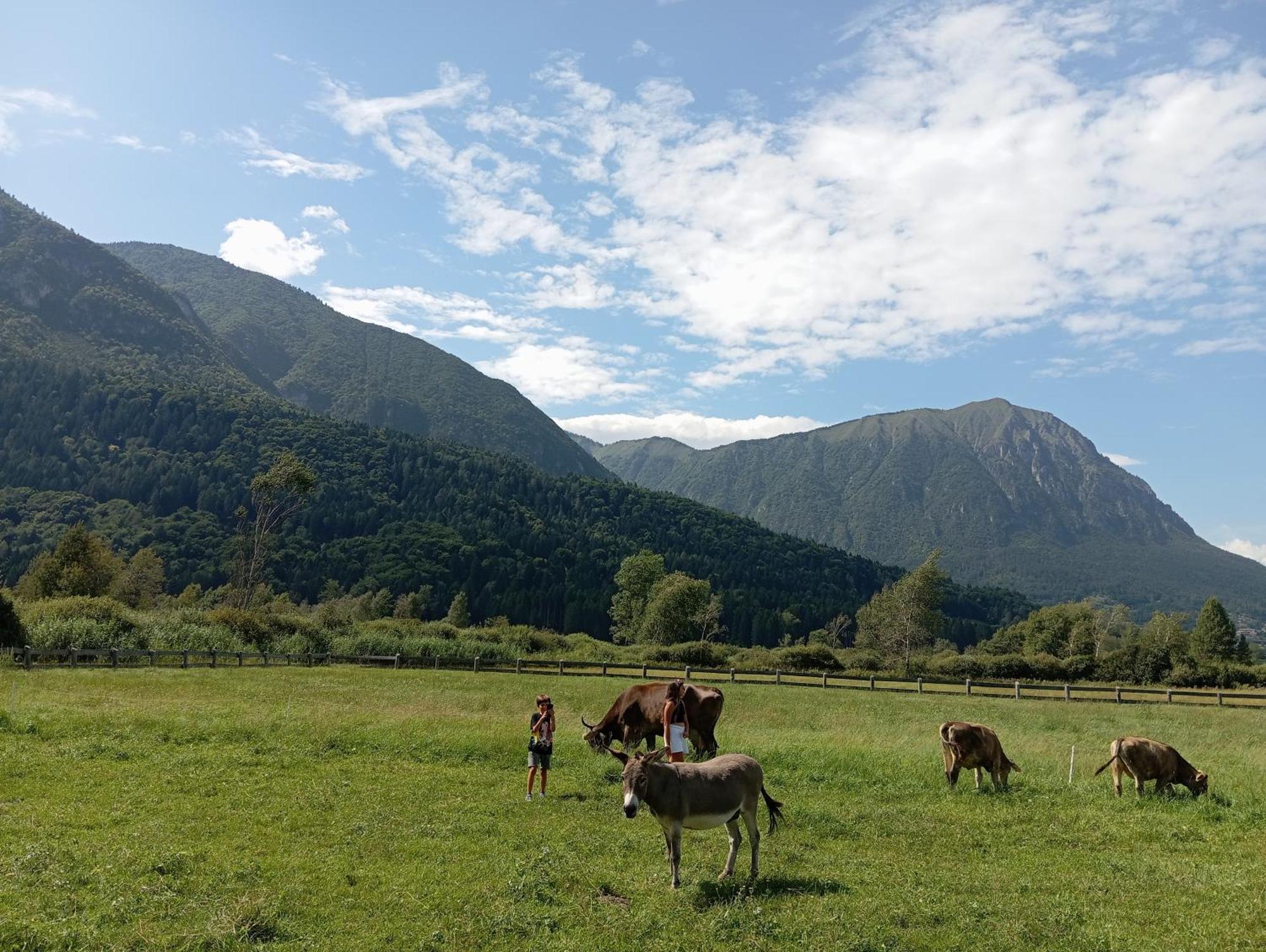 Maso Torbiera- Rural And Mountain Lodging Fiavè Exteriér fotografie